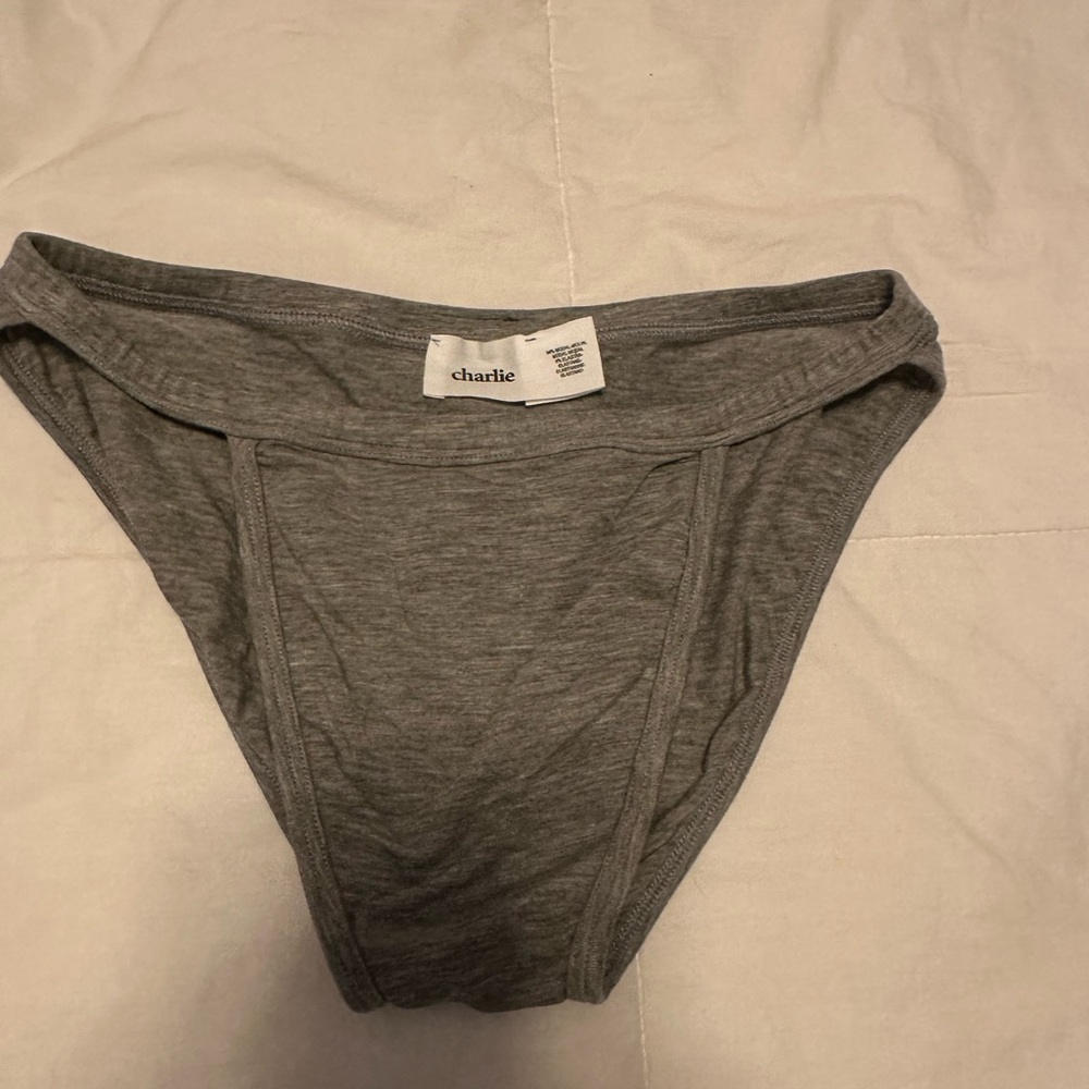 Charlie Gray Men's Muscle Briefs